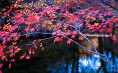 弄杨幂爽死我了